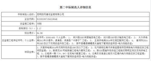 第二中标人信息