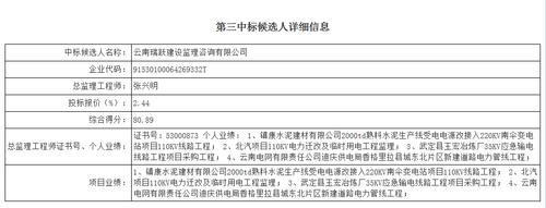 第三中标人信息