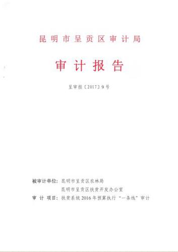 审计报告20170418-01