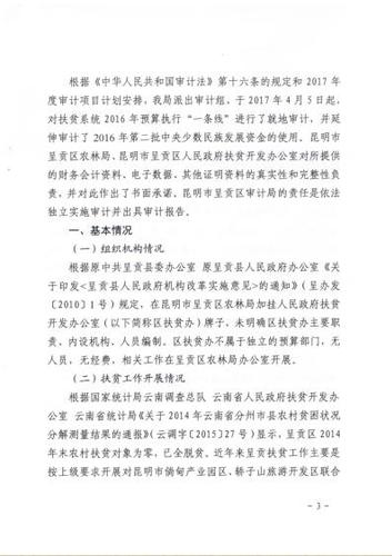 审计报告20170418-02