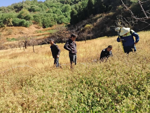 微信图片_20181221154707