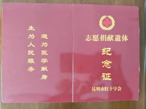 调整大小 84e241153808b874afcd89dafcd3e86
