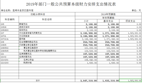 公共预算支出表