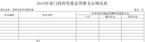 基金预算支出情况表