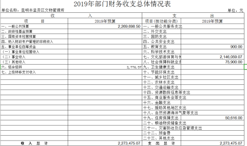 财务收支总体情况表
