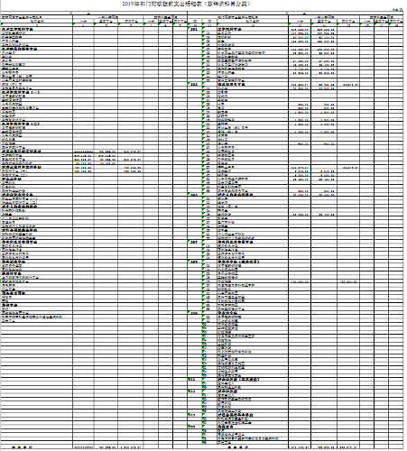 财政拨款支出明细表