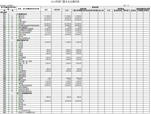 基本支出预算表