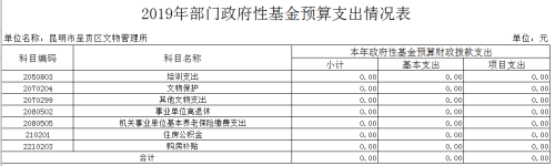 基金预算财政支出表