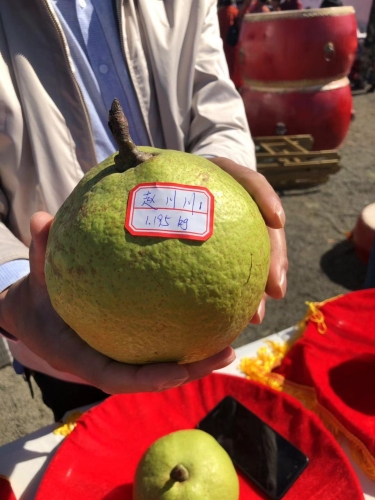 微信图片_20190923101037