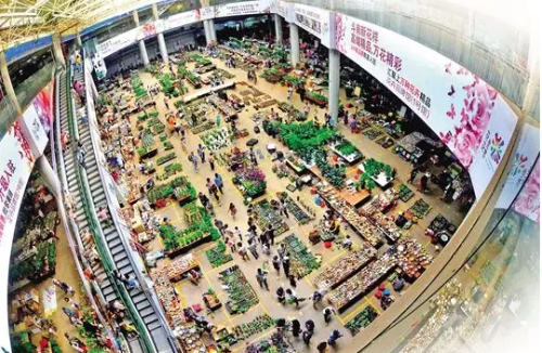 微信截图_20191008145914