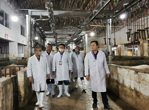 微信截图_20191114135017