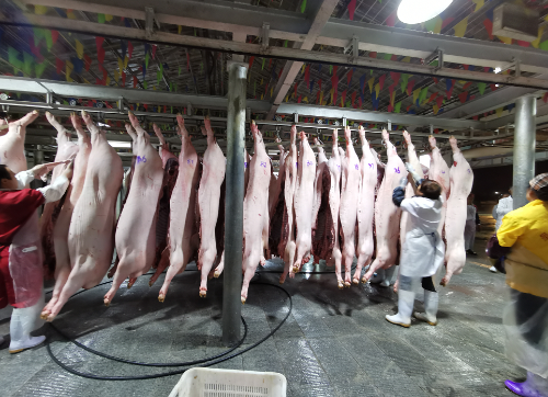 微信截图_20191114135026