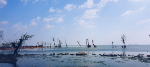 微信截图_20191129135650