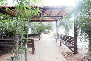   　　在拆除违章建筑后社区建设居民休息凉亭。