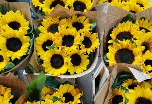 微信截图_20200224143151