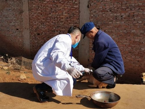 微信图片_20200313110756