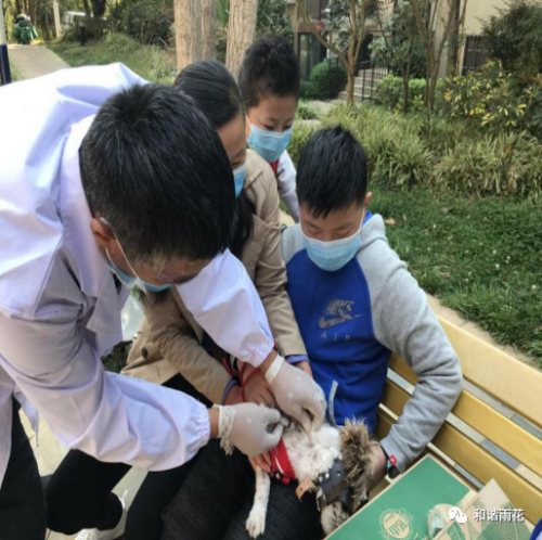 微信图片_20200401100945