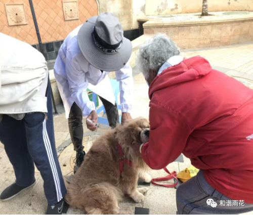 微信图片_20200401100950