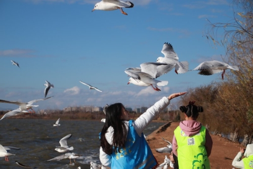 微信图片_20200413104443