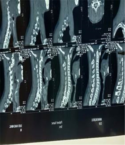 微信图片_20200507143059