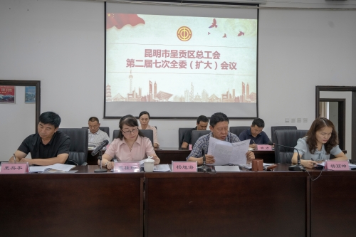 主席发言 (2)