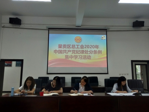 中产党纪律处分条例学习活动