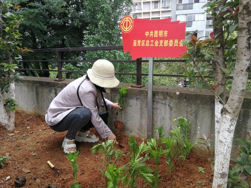 4.双报到双报告活动