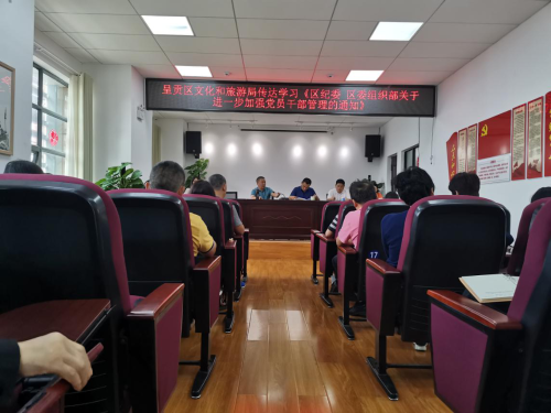 图片7