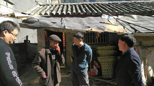 图片1