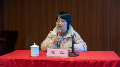 陈红主任作培训 (2)
