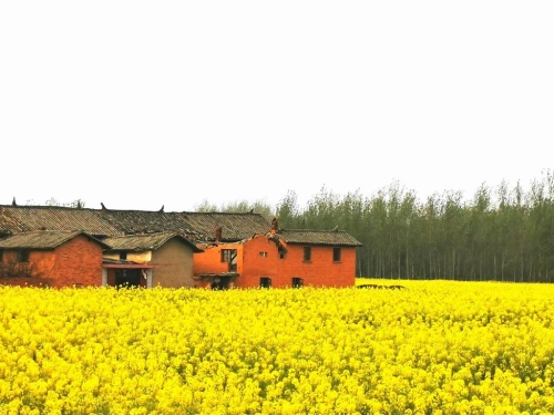 K1024_微信图片_20210310110123