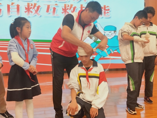 图片 5