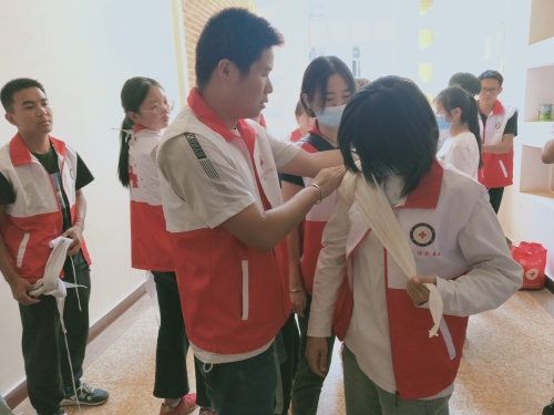 图片 13