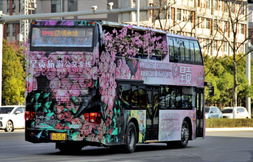 图片1