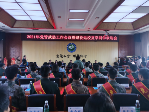 图片15