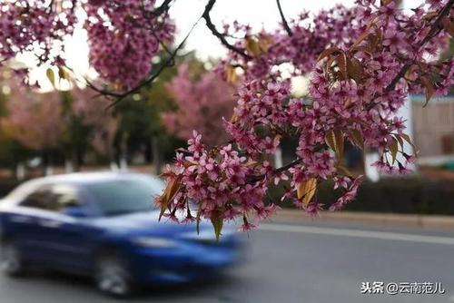 微信图片_20211220095016