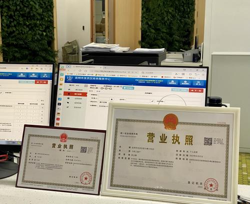 云南首张智能化无干预审批营业执照