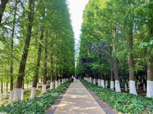 微信图片_20220427104222