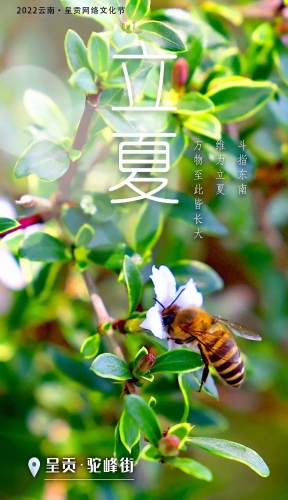 微信图片_20220506171049