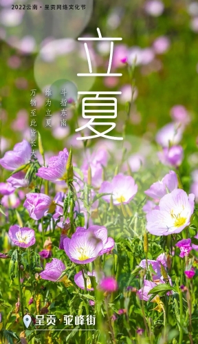 微信图片_20220506171129
