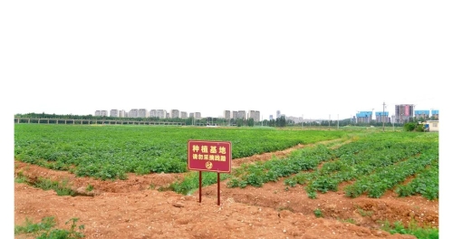 微信图片_20220512143954