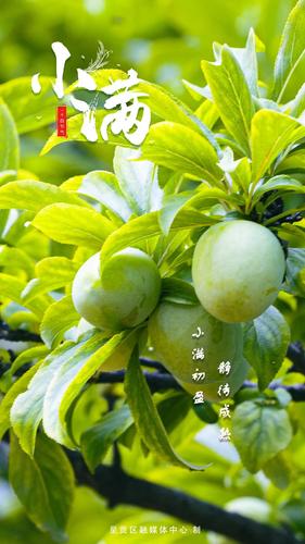 微信图片_20220523152416