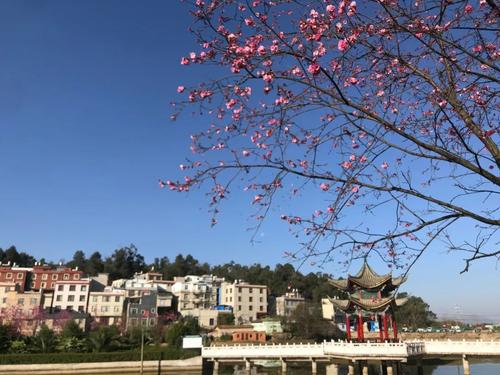 微信图片_20220606135757