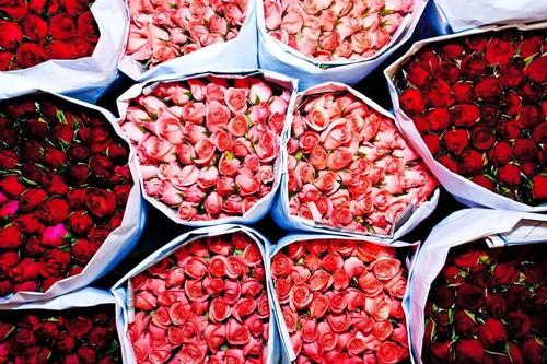 微信图片_20220620152015