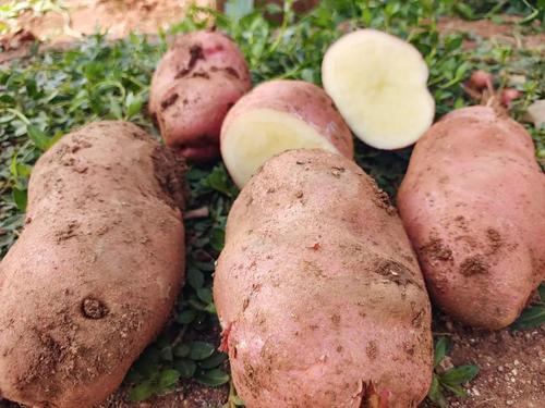 微信图片_20220621174117