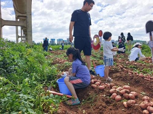 微信图片_20220621174120