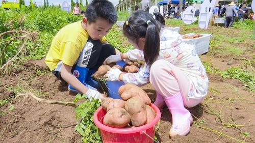 微信图片_20220621174122