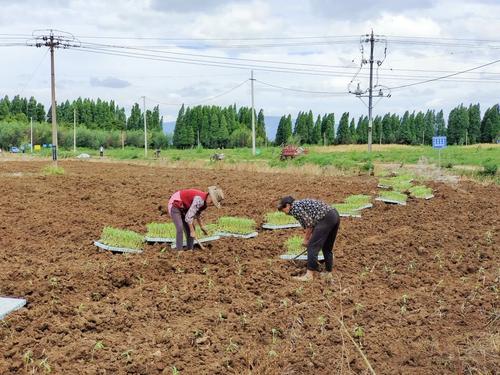 微信图片_20220621174132