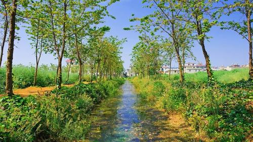 微信图片_20220621174137