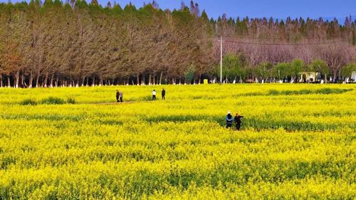 微信图片_20220621174141